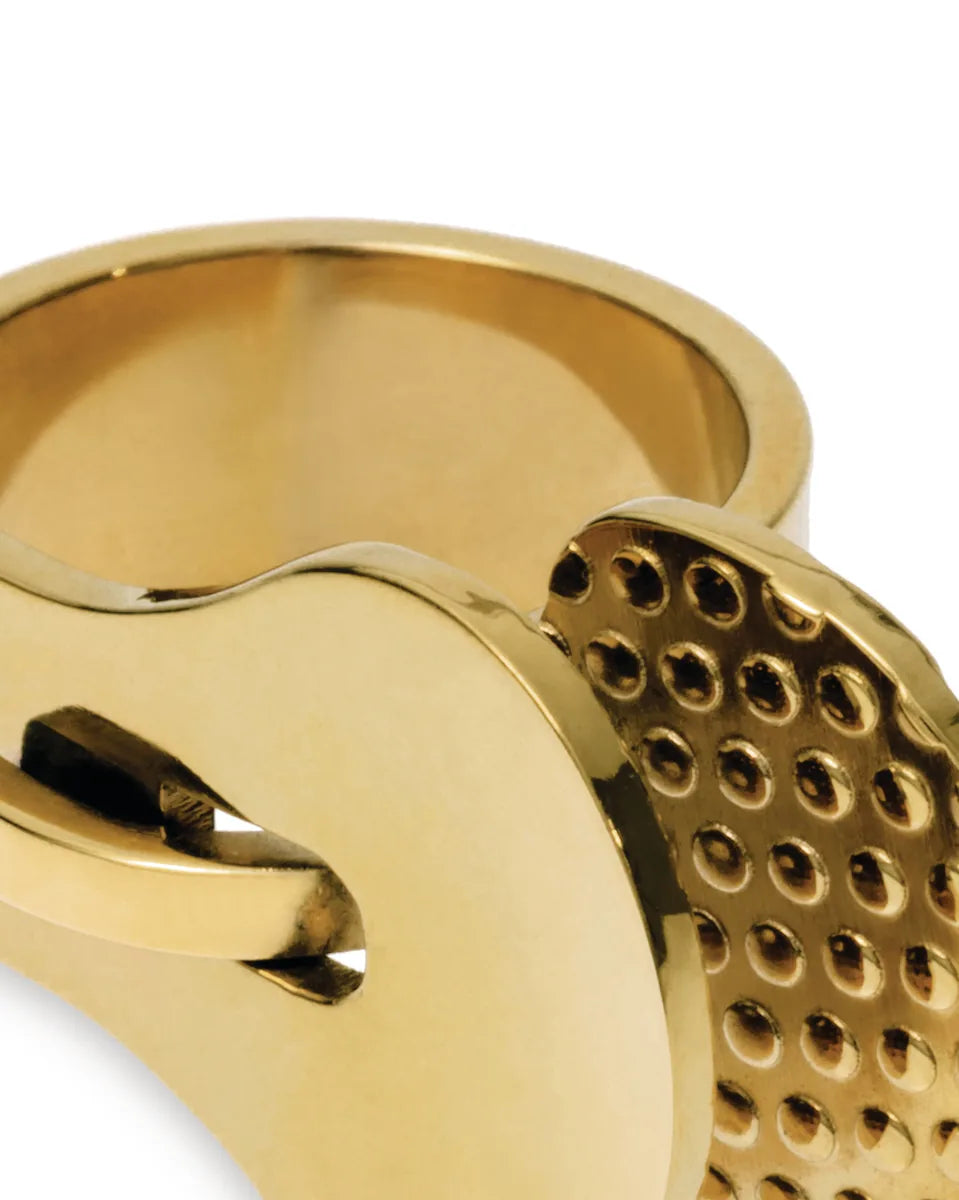 Alessi — Trama ESA03 ESA03 4S | Anello in acciaio PVD oro Salmistraro — vista principale