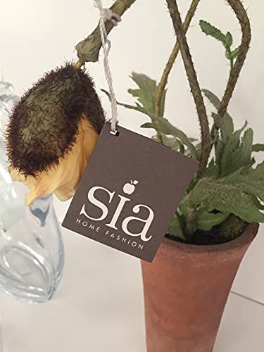 SIA - Vaso con Tulipano Giallo 60cm