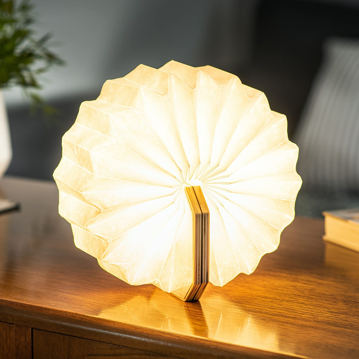 Gingko - Lampada "Smart Accordion" Nera