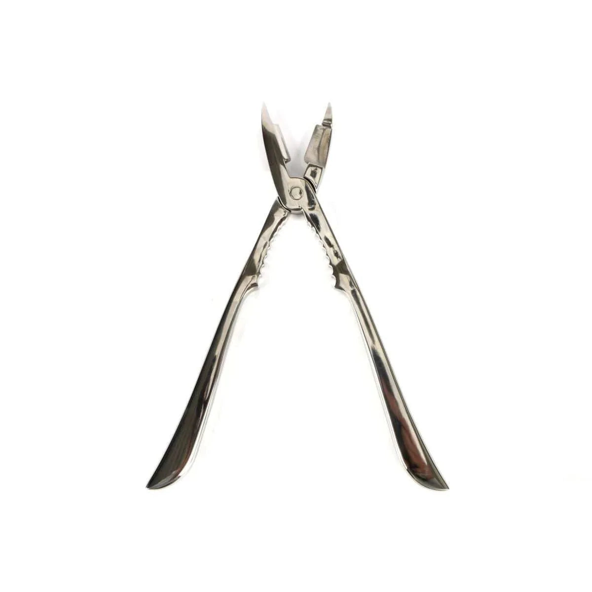 Pintinox Pinza Aragosta in acciaio inox lucido, ideale per frutti di mare e pesce