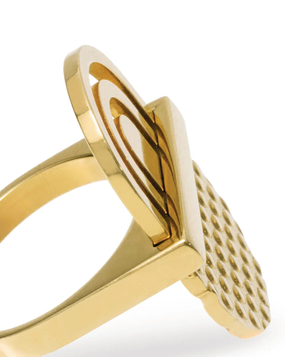 Alessi — Fresia ESA03 ESA03 2S | Anello in acciaio PVD oro Salmistraro — vista principale