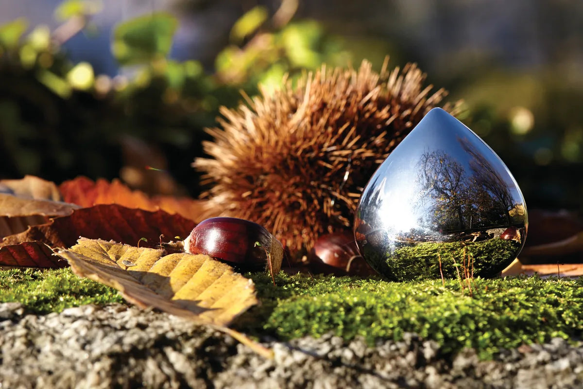 Alessi — Chestnut CHB01 | Portapillole in acciaio inox lucido — vista principale