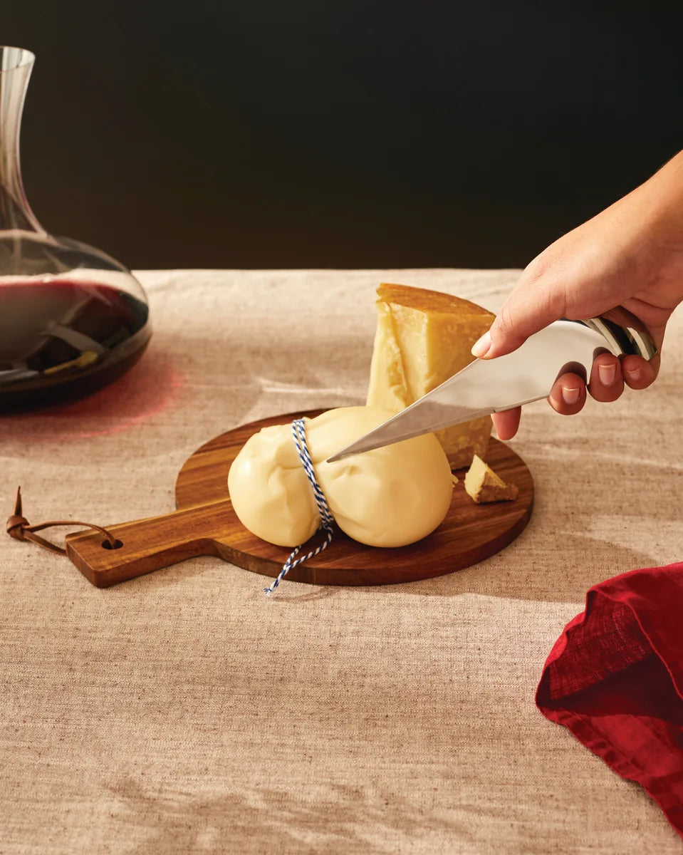 Alessi — Antechinus AD01 | Coltello da formaggio in acciaio 18/10 — vista principale