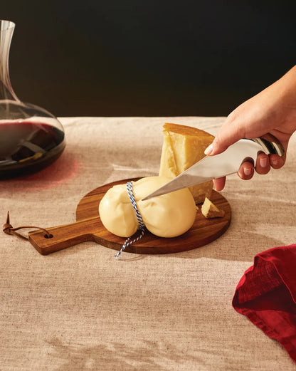 Alessi — Antechinus AD01 | Coltello da formaggio in acciaio 18/10 — vista principale