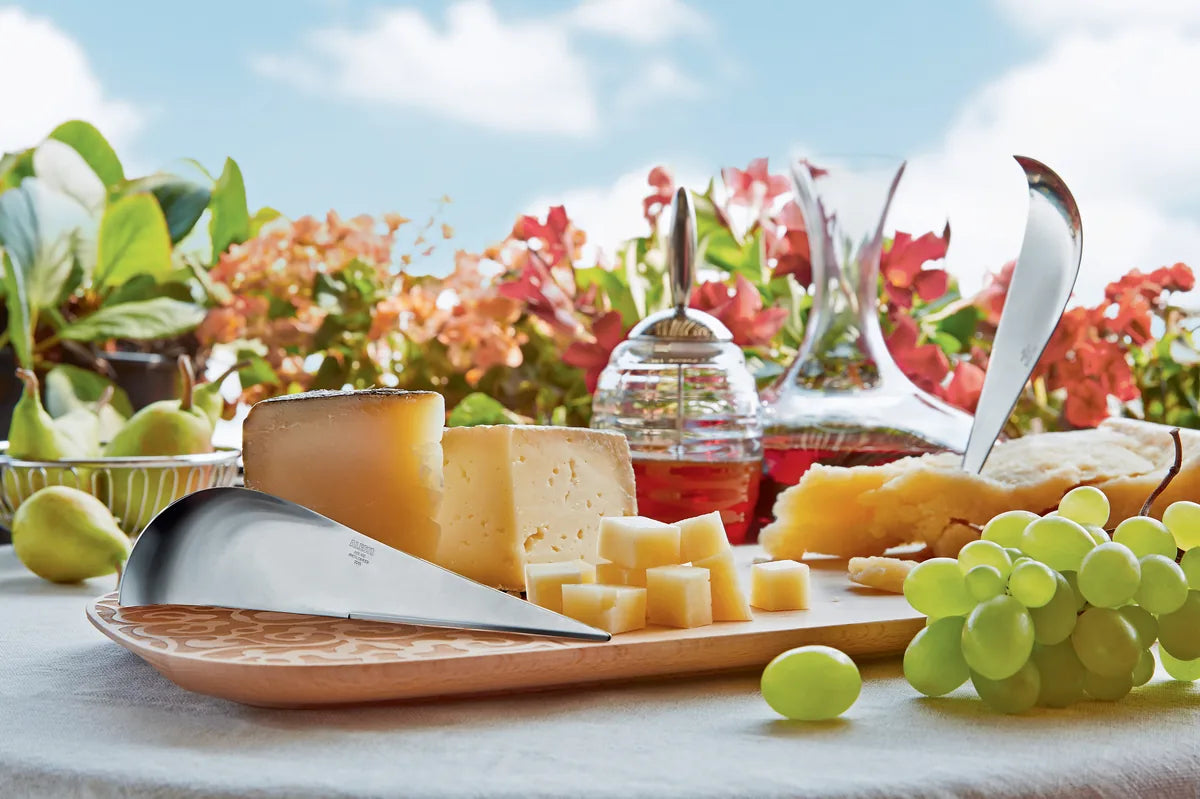Alessi — Antechinus AD01 | Coltello da formaggio in acciaio 18/10 — dettaglio
