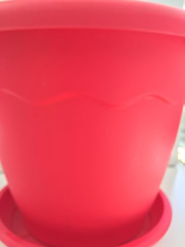 Vaso Portapiante in palstica colorata cm D. cm 30 h cm 29 con sottovaso colori assortiti; Rosso