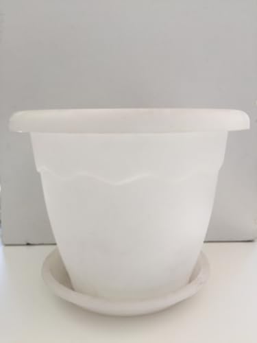 Plant pot in colored plastic cm D. cm 30 h cm 29 with saucer assorted colors; White