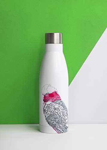 Maxwell &amp; Williams - White "Koala &amp; Friends" Double Wall Stainless Steel Thermal Bottle