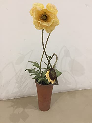 SIA - Vaso con Tulipano Giallo 60cm