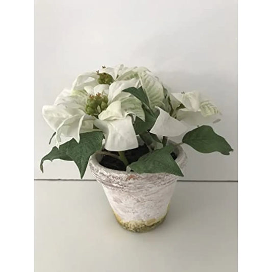 SIA Pianta con Vaso Stella Bianca 23cm - Pianta artificiale decorativa con vaso