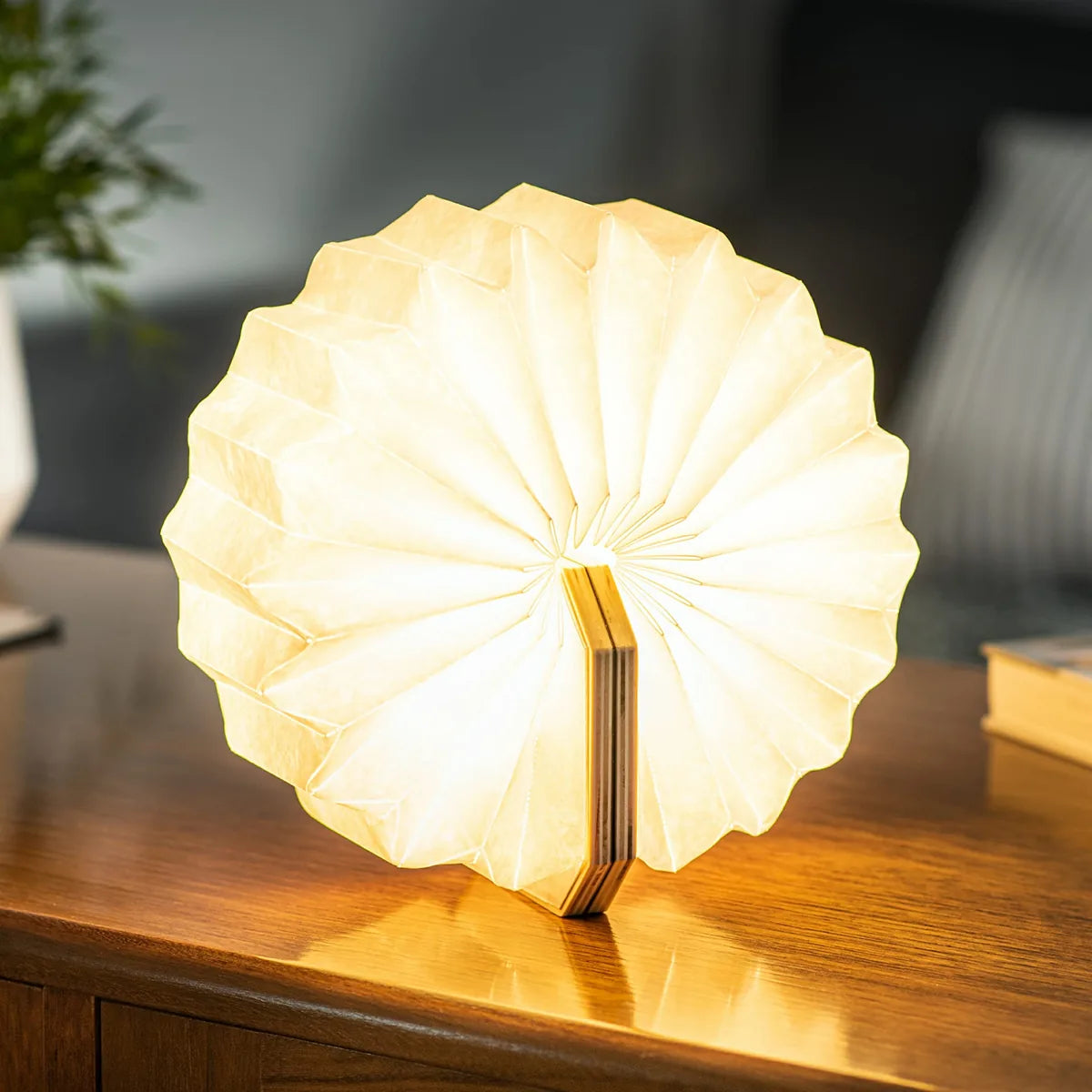 Gingko Smart Accordion lampada a fisarmonica in legno noce nero con LED bicolore