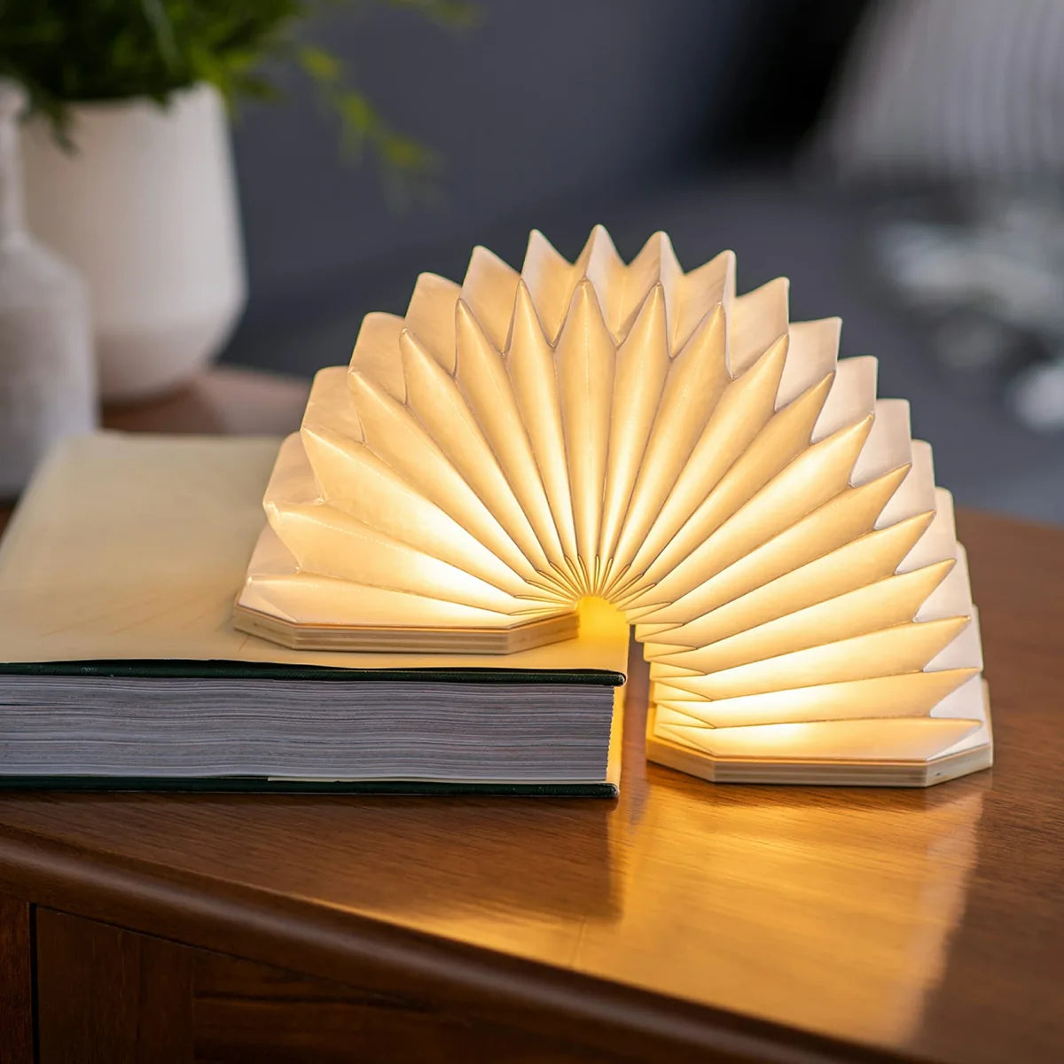 Gingko Smart Accordion lampada a fisarmonica in legno noce nero con LED bicolore