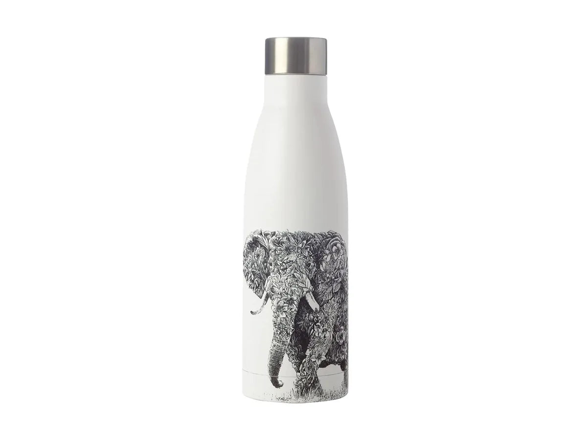 Maxwell & Williams borraccia termica bianca Koala & Friends doppia parete acciaio inox 500ml