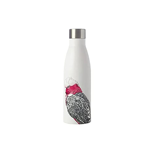 Maxwell & Williams borraccia termica bianca Koala & Friends doppia parete acciaio inox 500ml