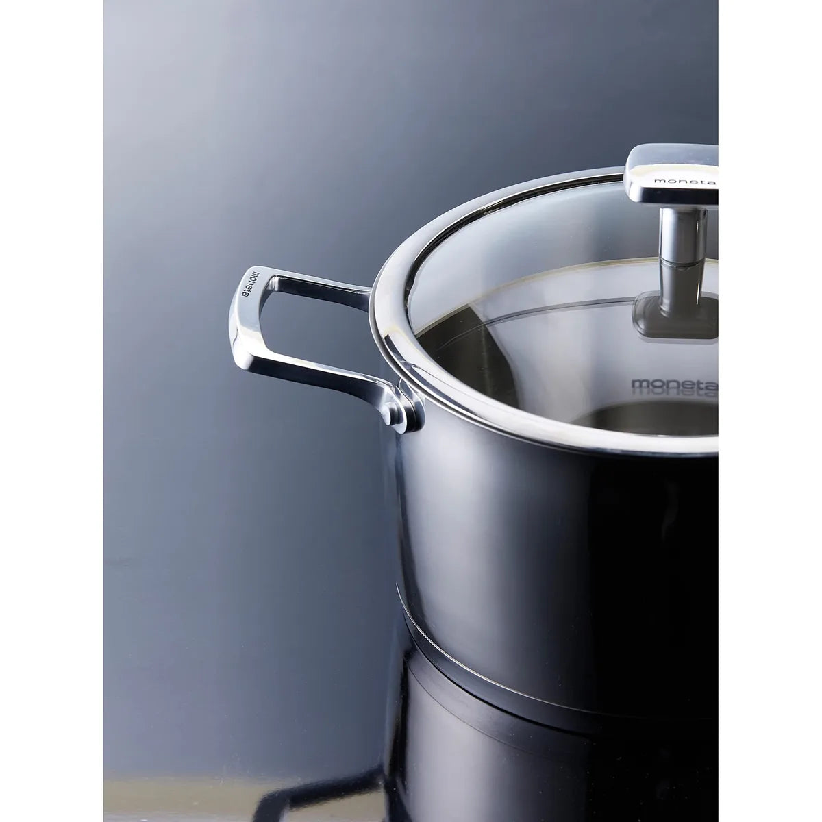 Moneta Accordo casseruola 22cm acciaio inox spazzolato con coperchio vetro e maniglie microfuse