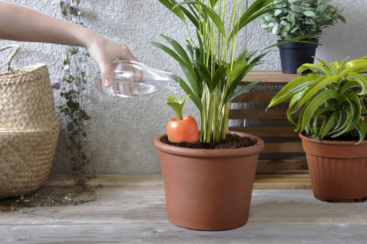 Peleg Design Care-it dispositivo auto-irrigazione arancione - irrigatore piante intelligente