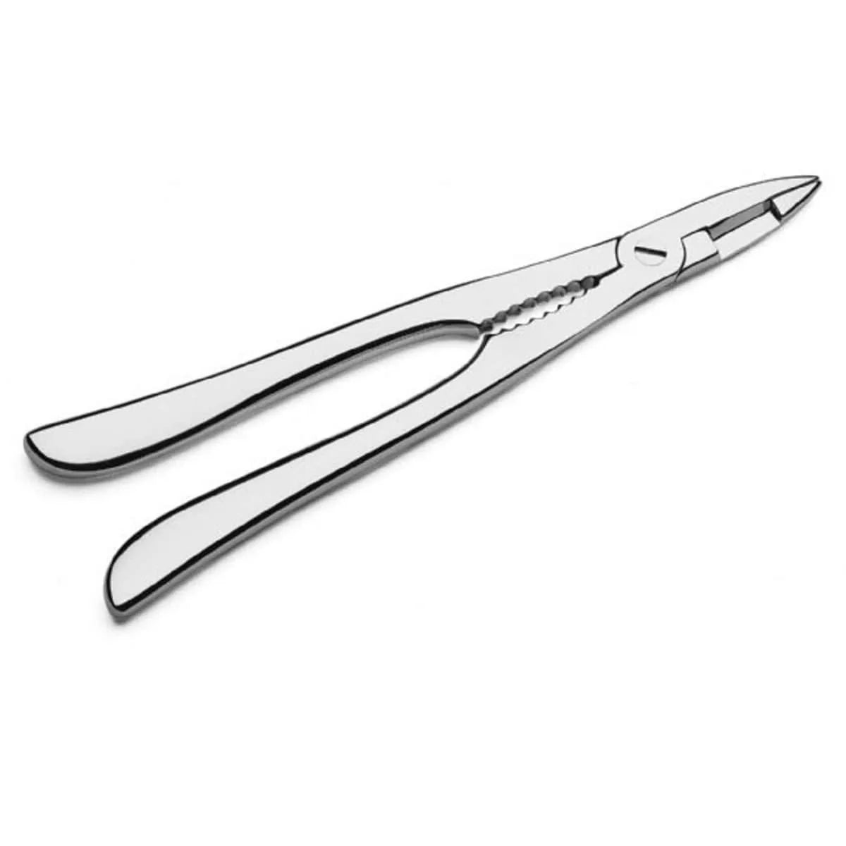 Pintinox Pinza Aragosta in acciaio inox lucido, ideale per frutti di mare e pesce